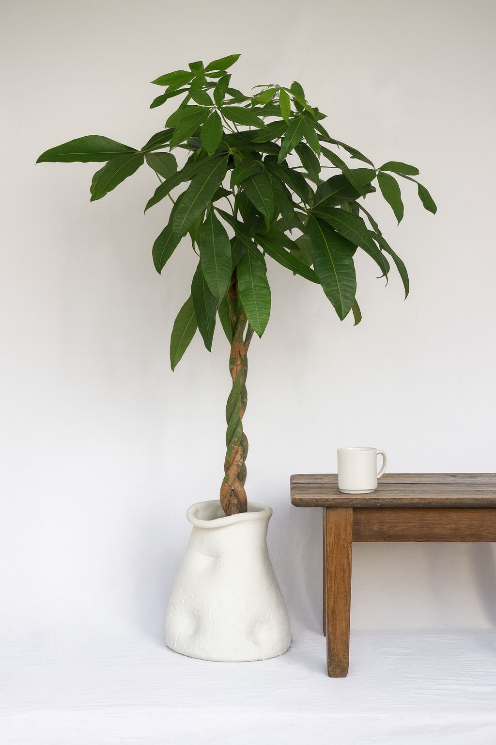 15DA579E-46A6-4146-8749-D342737E9346