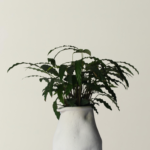 Erratum X Calathea