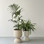 Duo Berceau